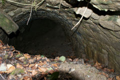 Lasgarn Quarry Southern tunnel, March 2009
